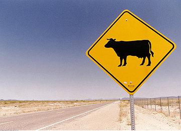 任天堂开启独立游戏活动day2  介绍4款游戏